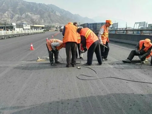 徽县道路桥梁病害治理